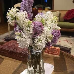 Meet your Posher, Karilyn